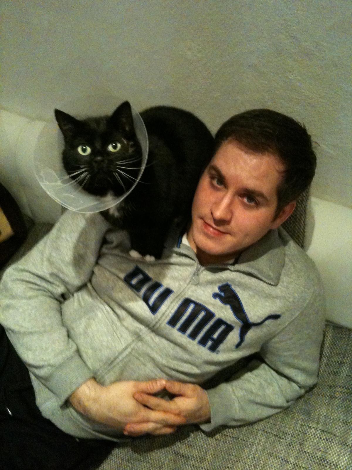 Honey, Katze mit Halskrause nach Behandlung